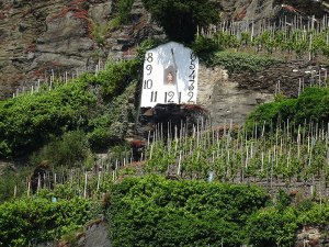 A sundial in a hillside vineyard.  It was an hour off; must not have a daylight savings setting!